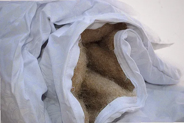 Hemp blanket with cotton cover and hemp filler